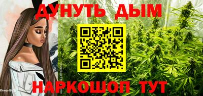 Альфа ПВП Абинск