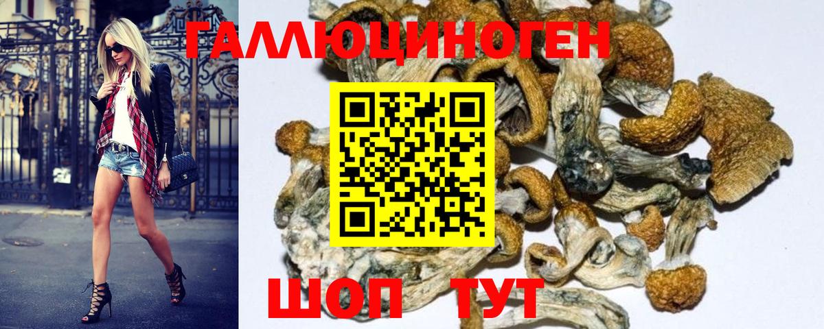 Алексин  Галлюциногенные грибы мухоморы  Псилоцибиновые грибы Magic Shrooms  Вход с VPN 